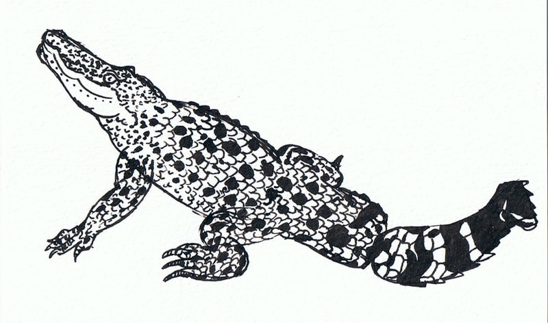 Ink on Paper by Filipino Artist Jill Arwen Posadas entitled Baby Gator