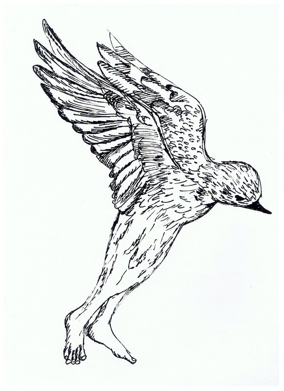 Ink on Paper by Filipino Artist Jill Arwen Posadas entitled Untitled Human Footed Bluebird